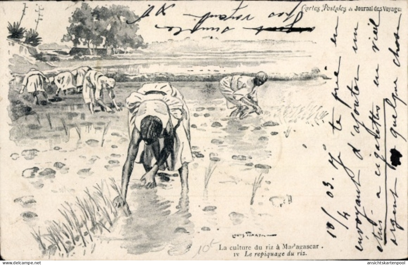 Artiste CPA Madagaskar, Reisernte