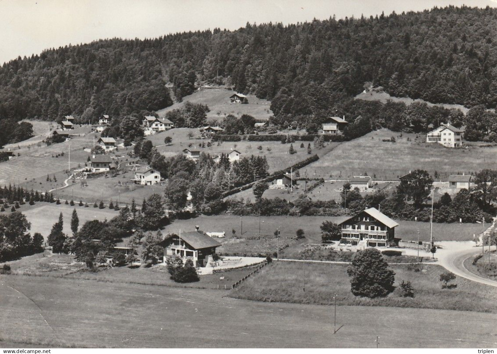 Arzier s/ Nyon - Vue aérienne