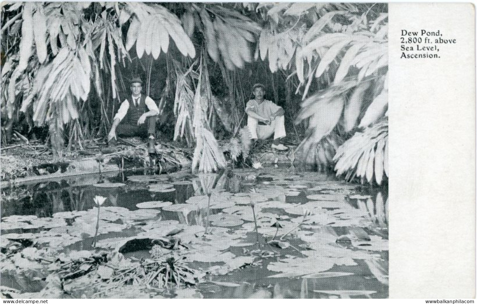 Ascension Dew Pond 2,800 ft. above Sea Level