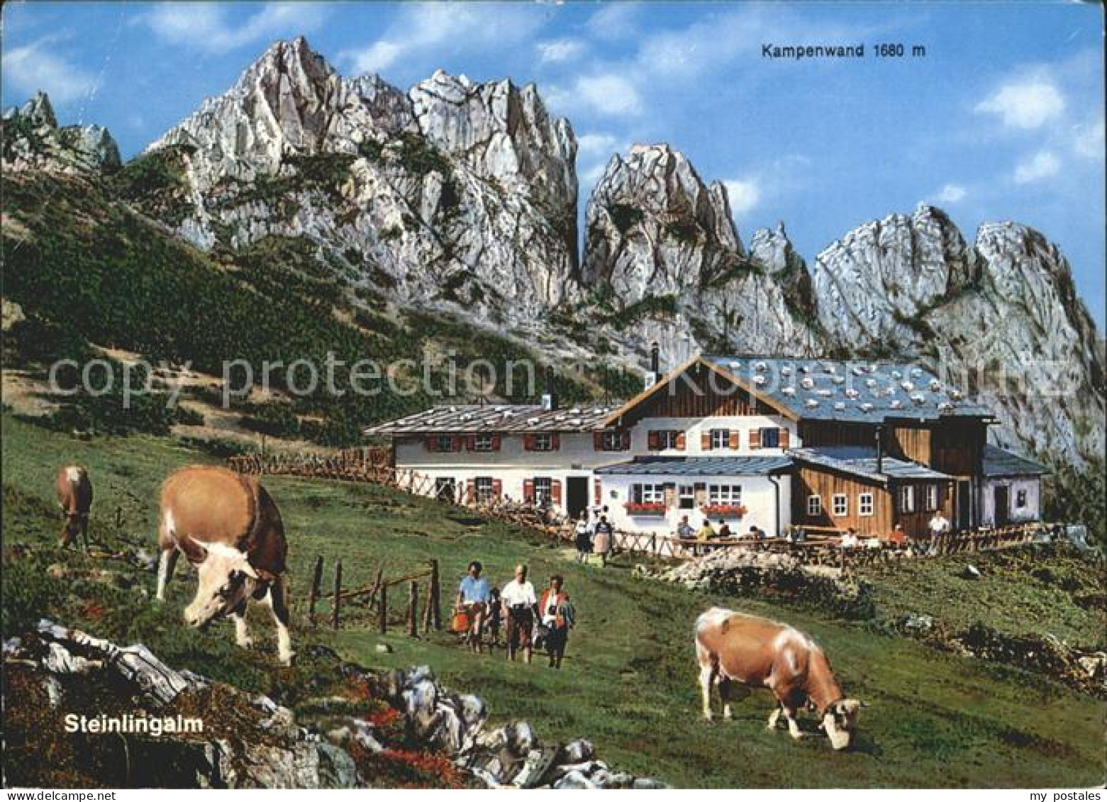 Aschau Chiemgau Steinlingalm Kuehe Kampenwand Chiemgauer Alpen