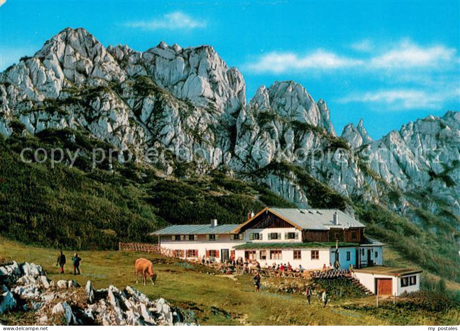 Aschau Chiemgau Steinlingalm mit Kampenwand Chiemgauer Alpen