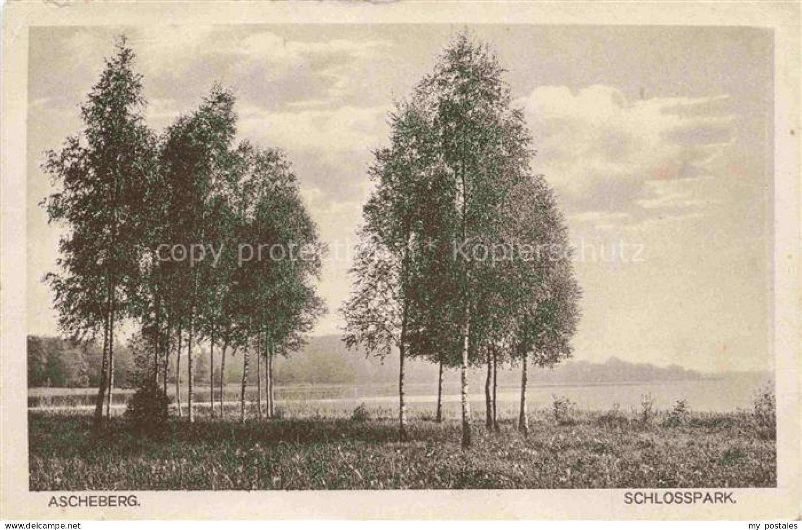 Ascheberg  Westfalen Coesfeld NRW Schlosspark