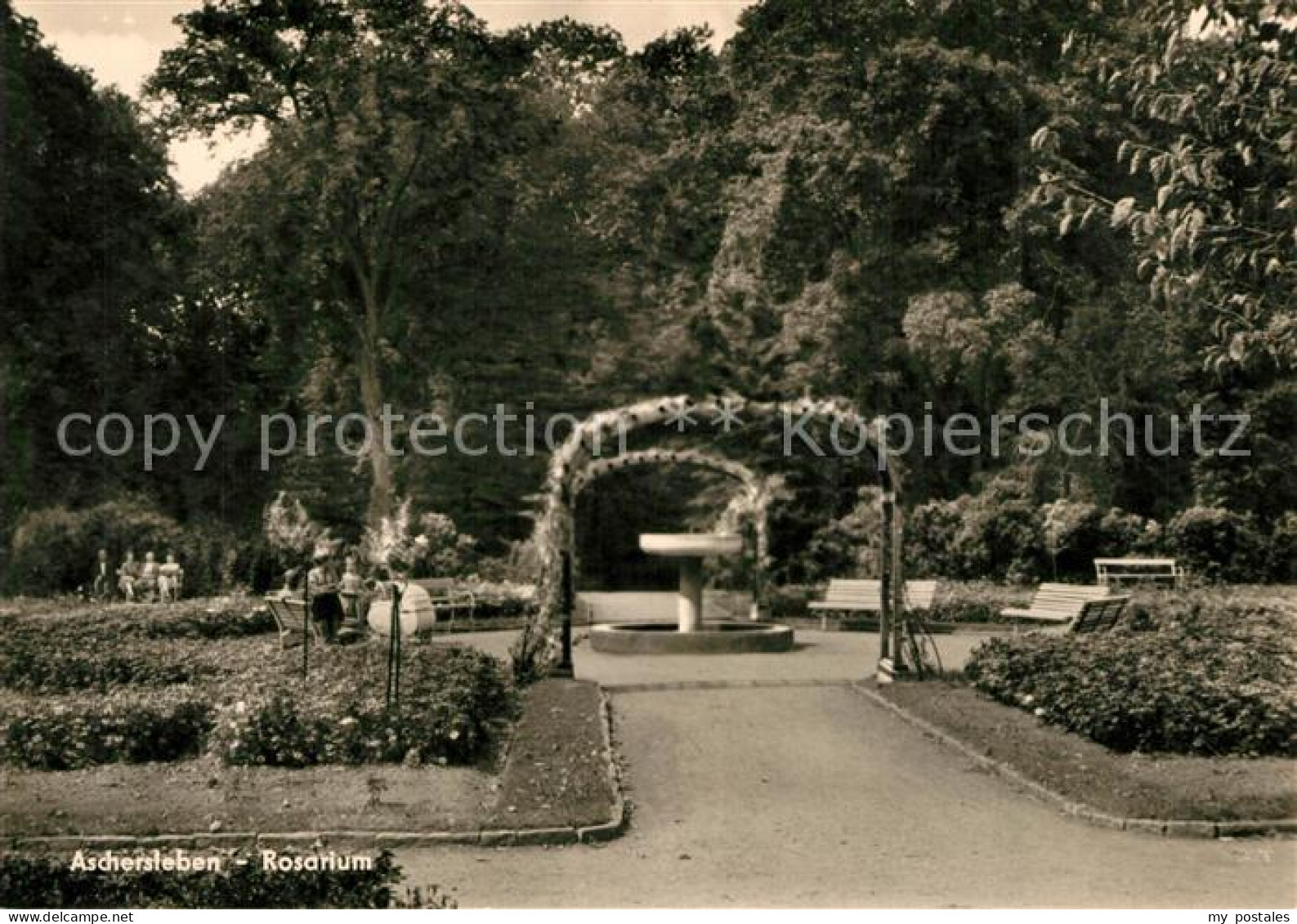 Aschersleben Sachsen-Anhalt Rosarium