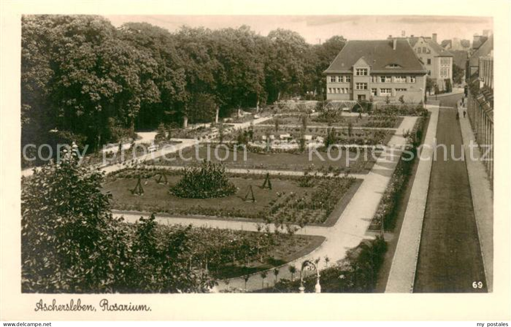 Aschersleben Sachsen-Anhalt Rosarium