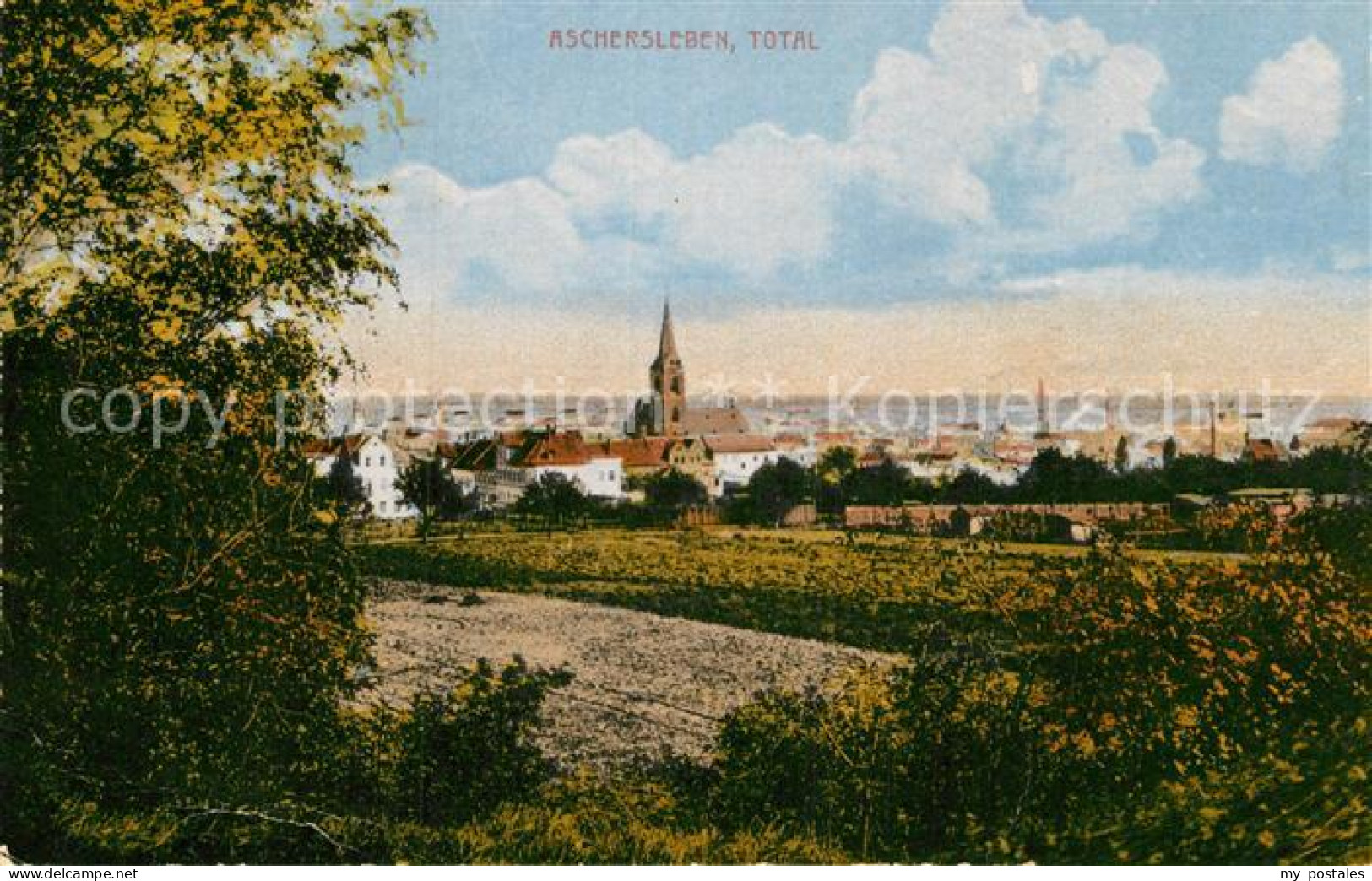 Aschersleben Sachsen-Anhalt Totalansicht
