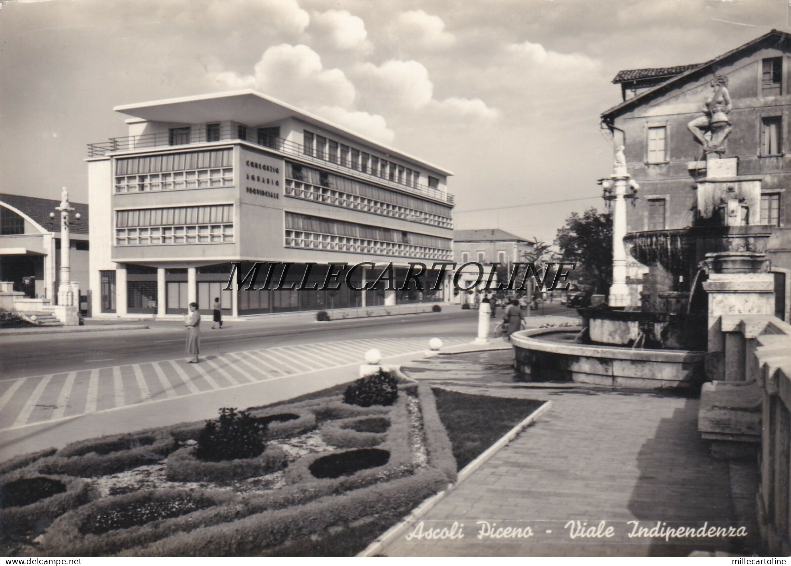 ASCOLI PICENO:  Viale Indipendenza    1964