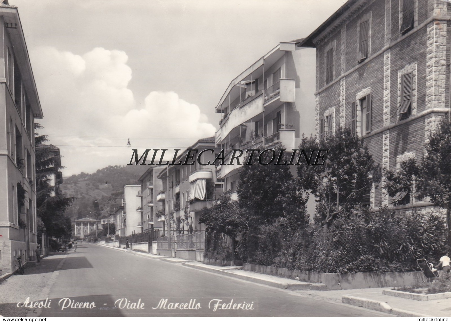 ASCOLI PICENO:  Viale Marcello Federici