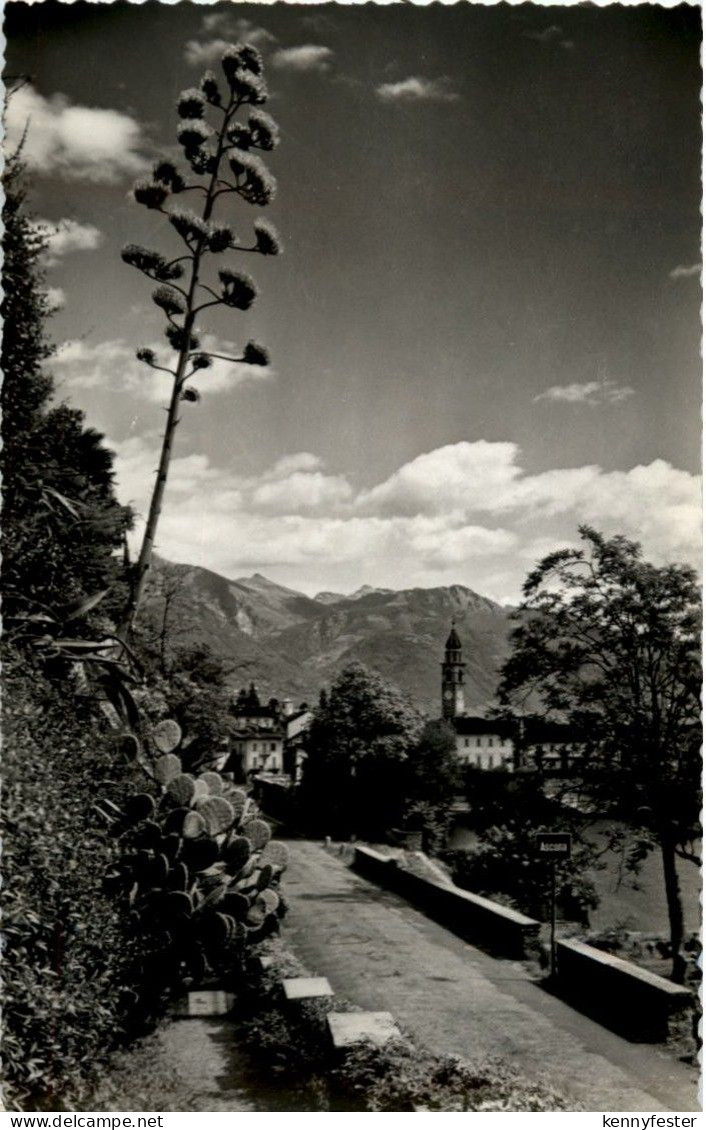 Ascona