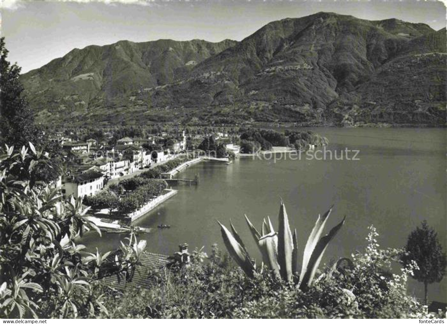 Ascona Lago Maggiore TI Lago-Maggiore Seepromenade Bergpanorama Agave Kirchturm