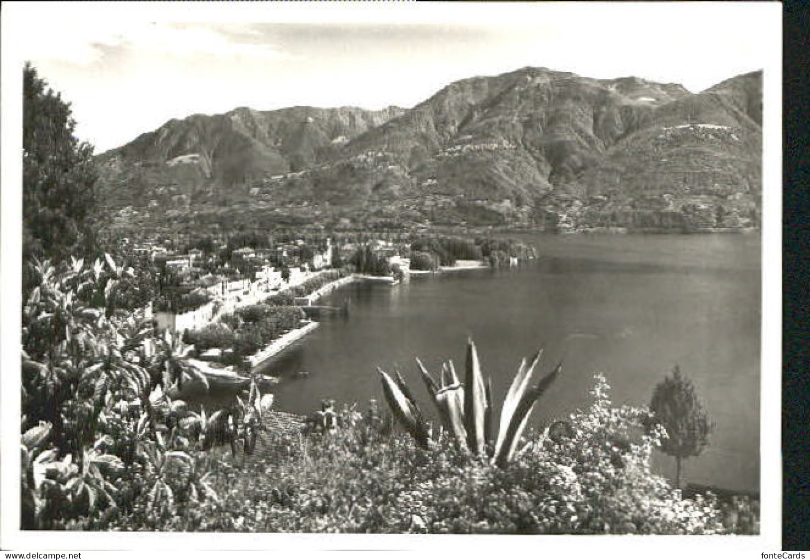 Ascona TI Ascona