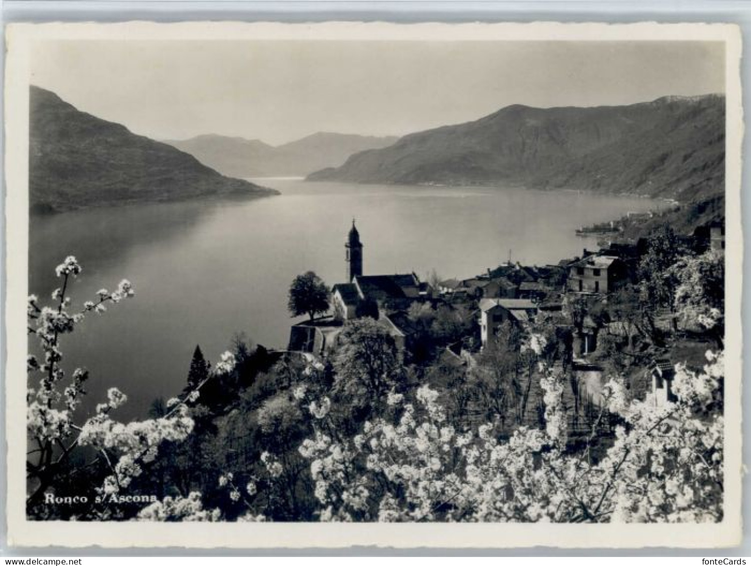 Ascona TI Ascona