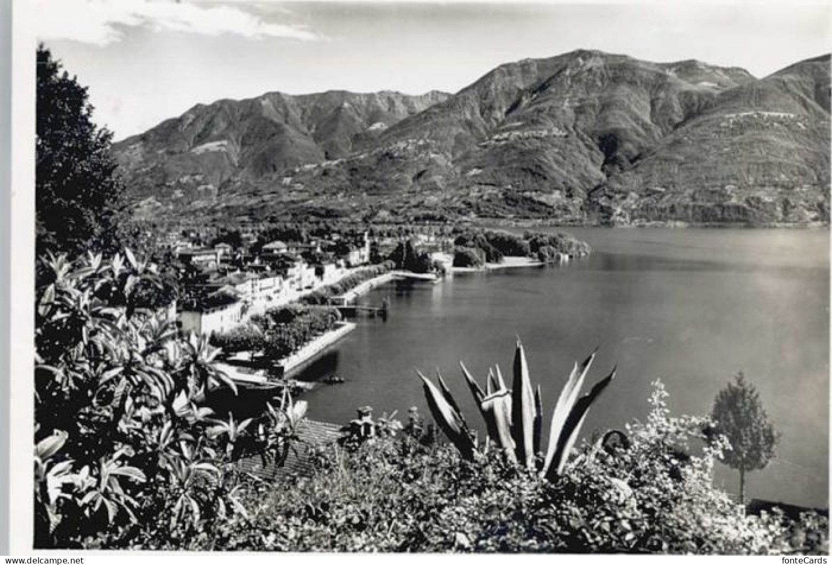 Ascona TI Ascona