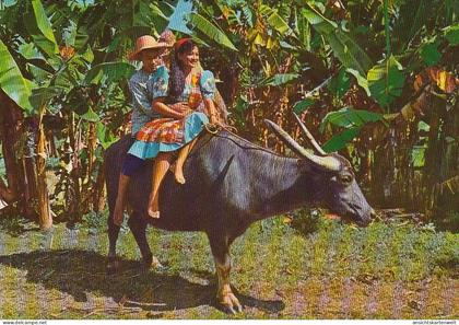 Philippinen, Carabao ngl #E4897