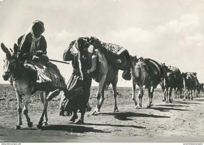 Libanon a caravan gl1980? #103.870