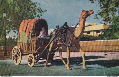 Indien, Camel Cart ngl #E4473