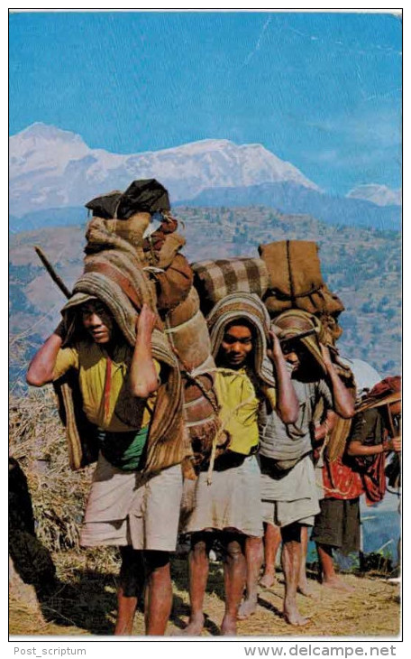 Asie - Népal - Porters - porteurs