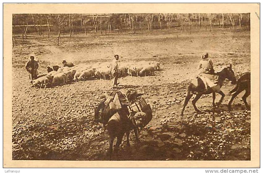 asie - ref  A149- missionnaire dans les steppes de la mongolie -theme religions -christianisme  - carte bon etat    -