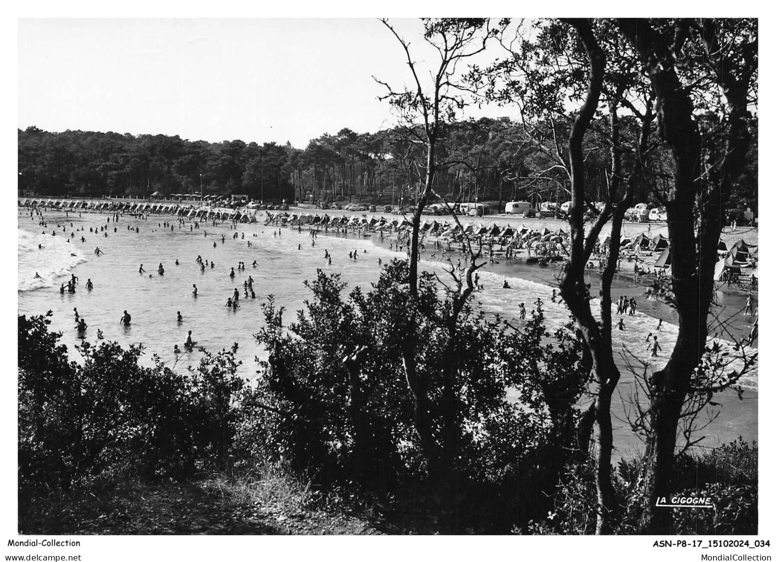 ASNP8-0501-17 - VAUX-SUR-MER - Plage de nauzan