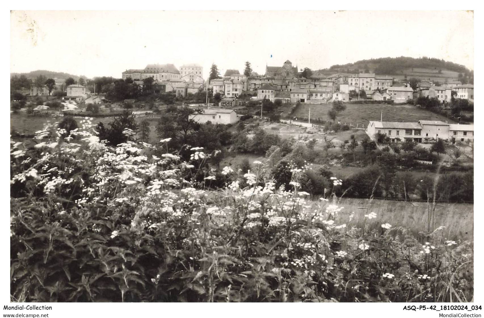 ASQP5-0270-42 - BELMONT DE LA LOIRE - Vue générale