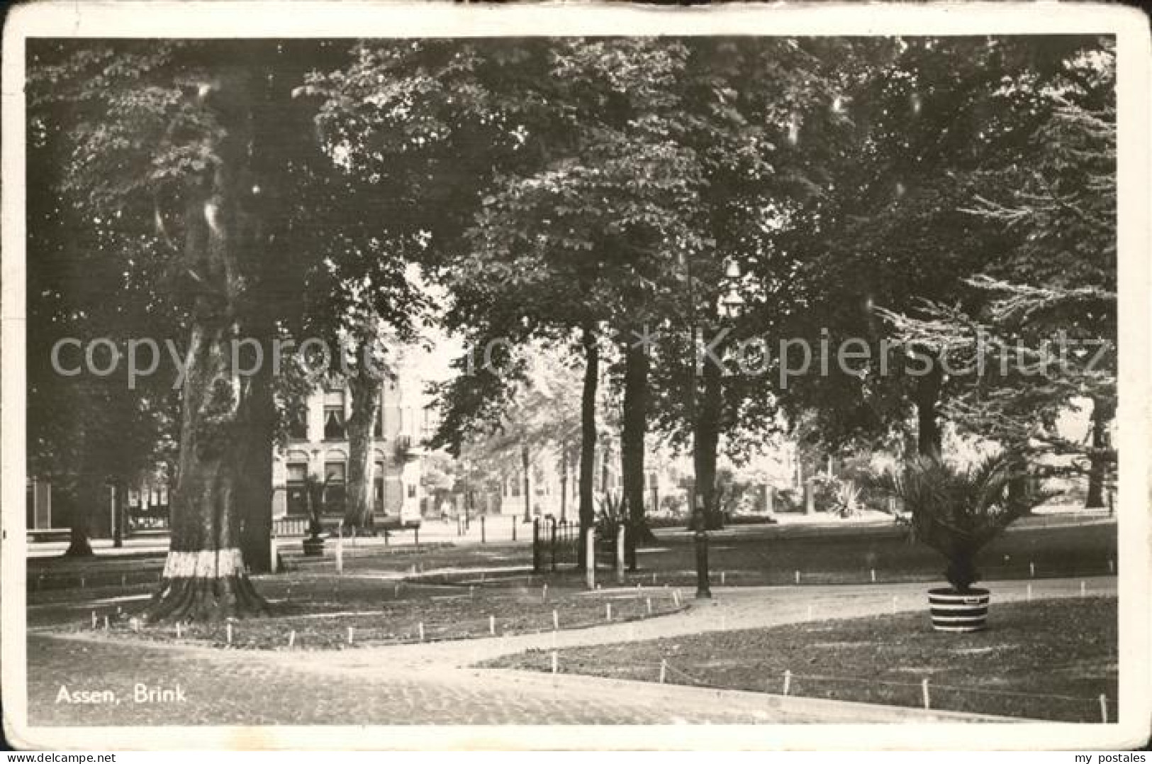 Assen Brink Park