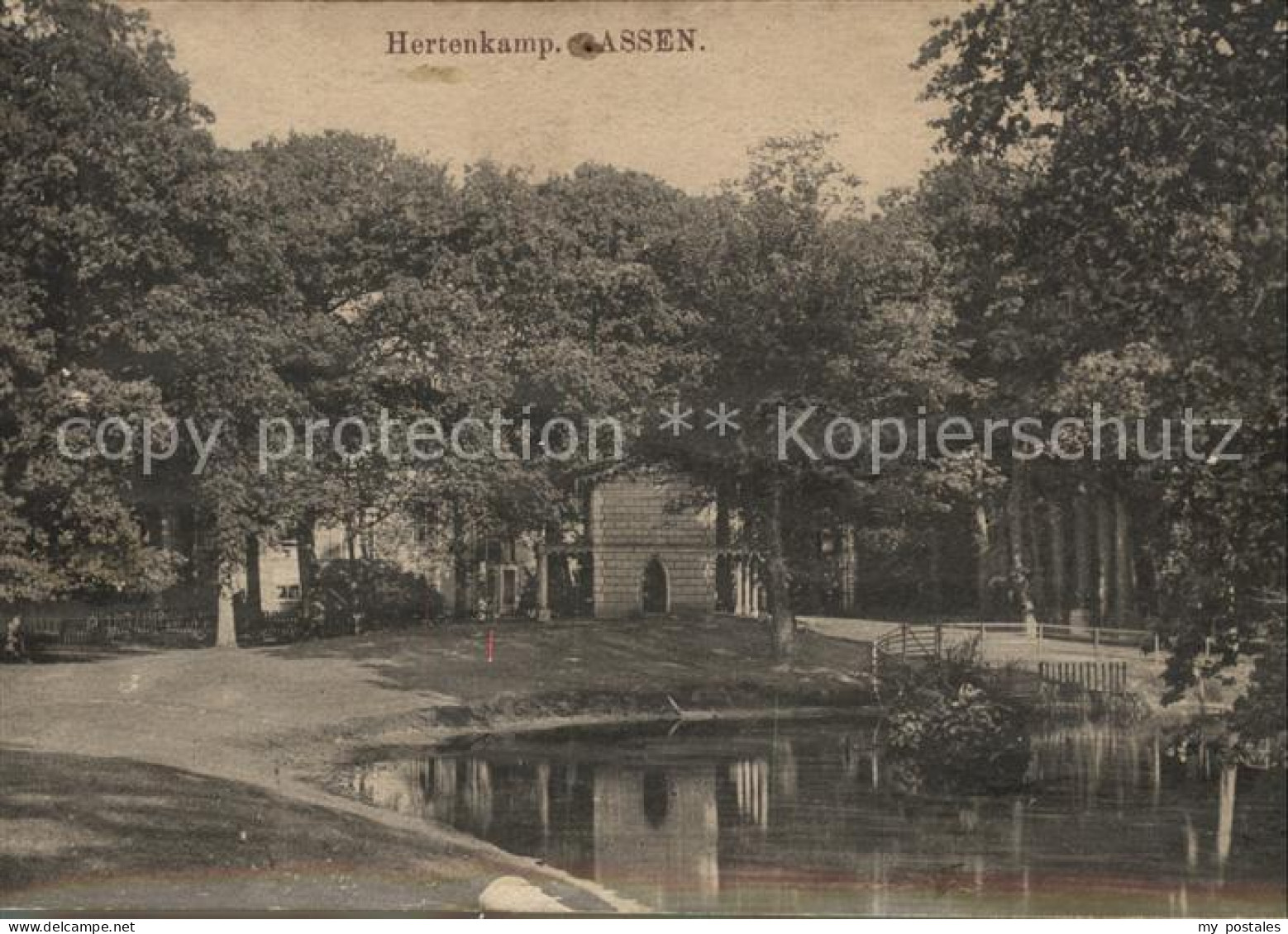 Assen Hertenkamp