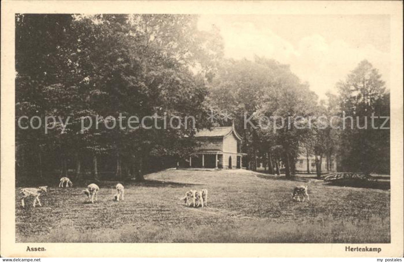 Assen Hertenkamp Wildgehege
