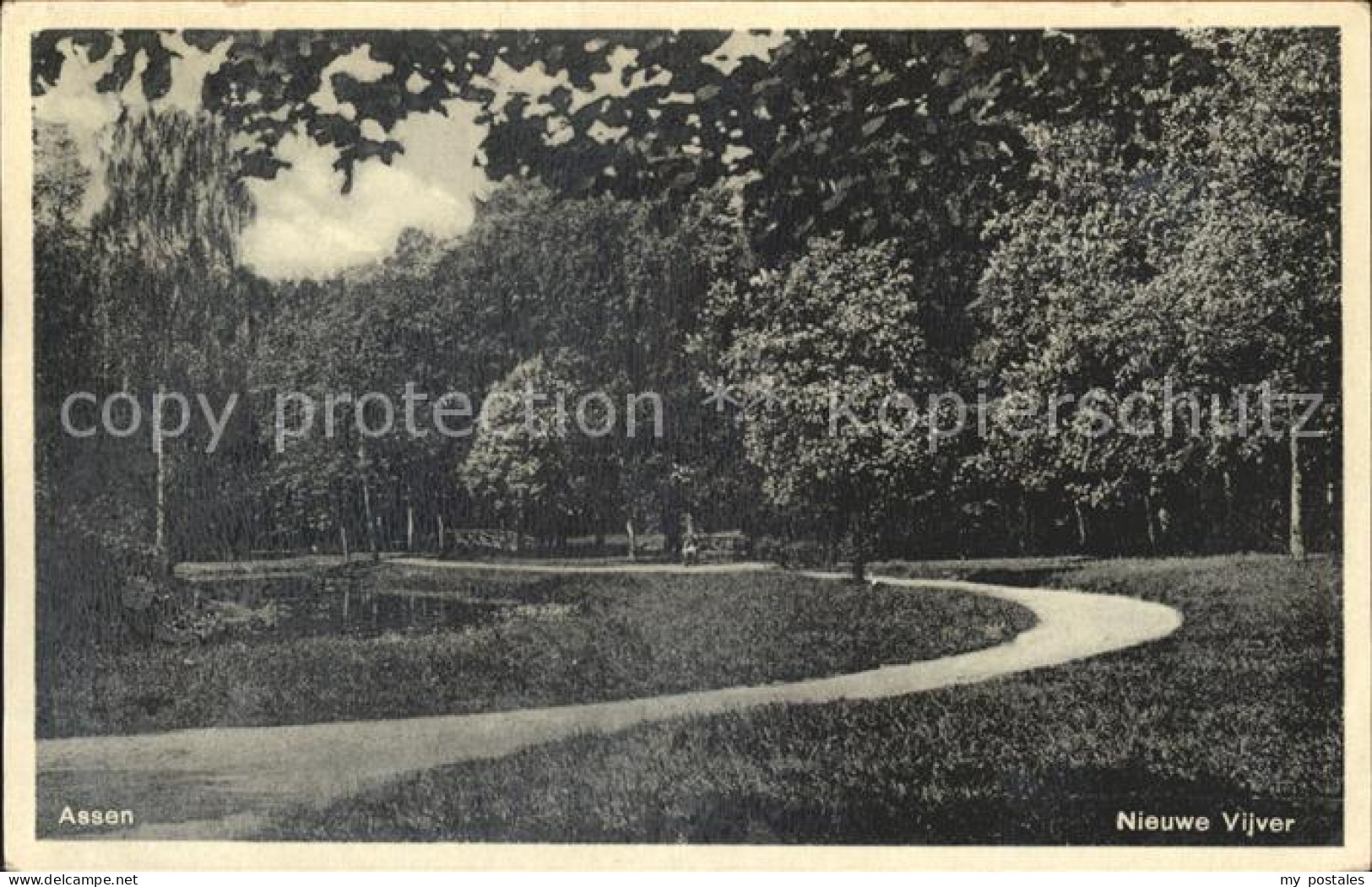 Assen Nieuwe Vijver
