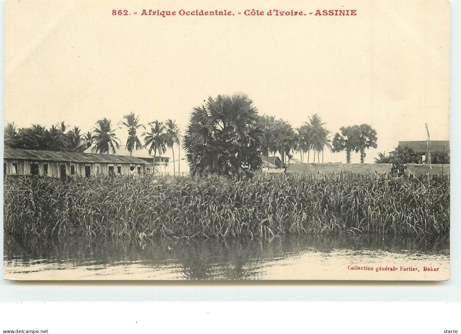 ASSINIE