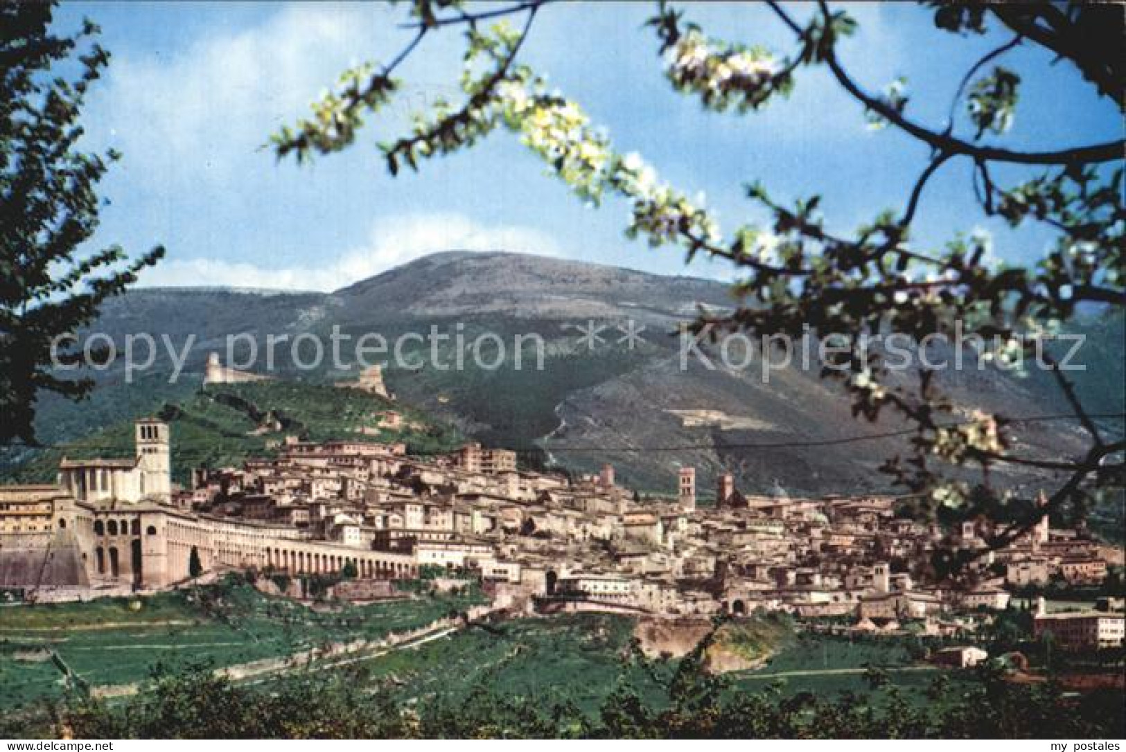 Assisi Umbria Panorama