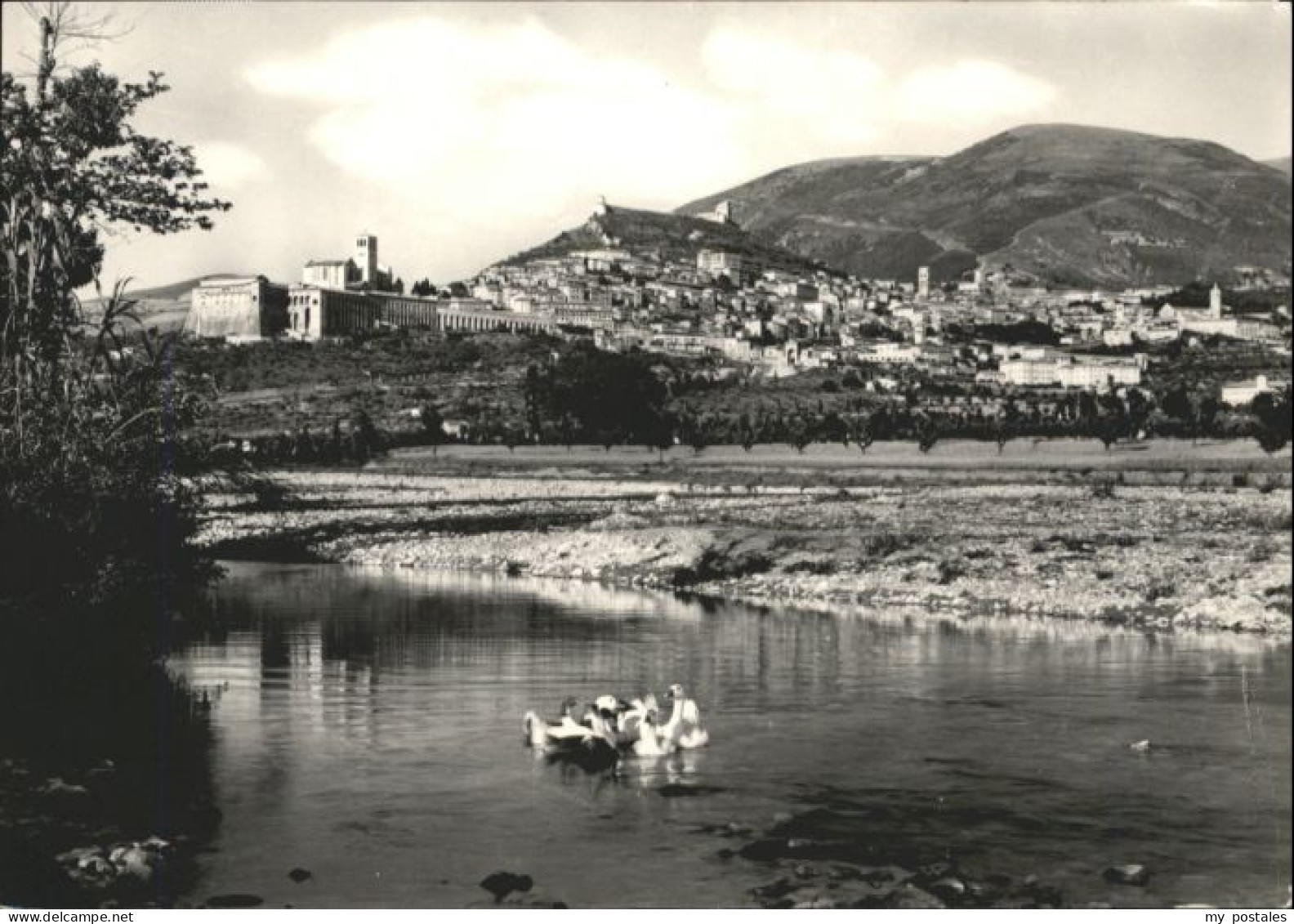 Assisi Umbria Schwan