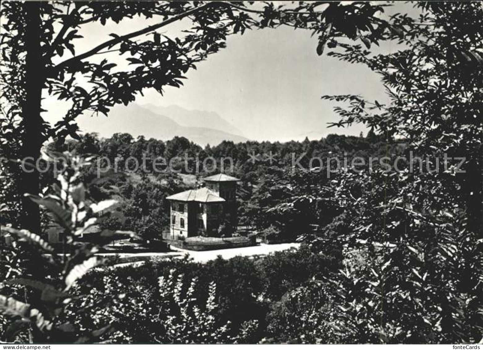 Astano Blauringlager Guthirt