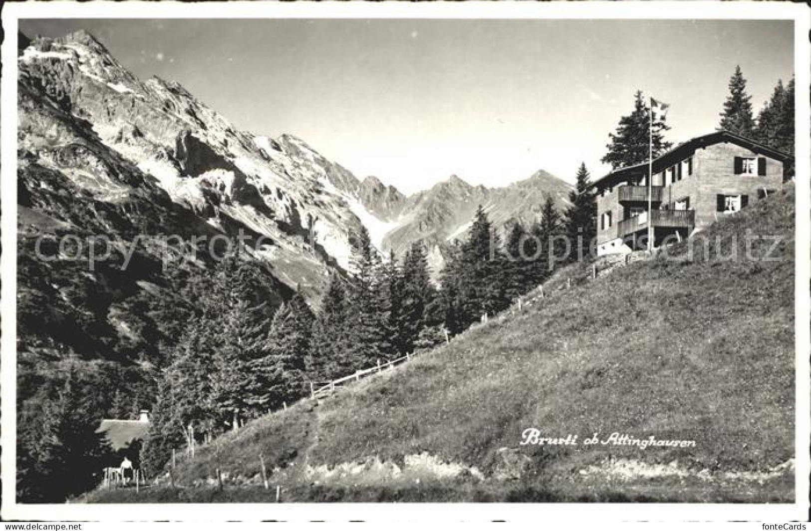 Attinghausen Berghaus Surenen