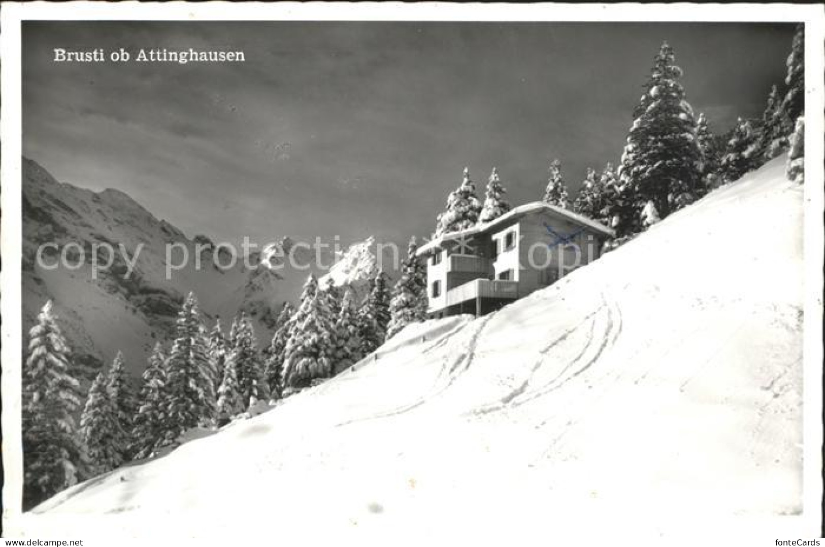 Attinghausen Berghaus Surenen Brusti