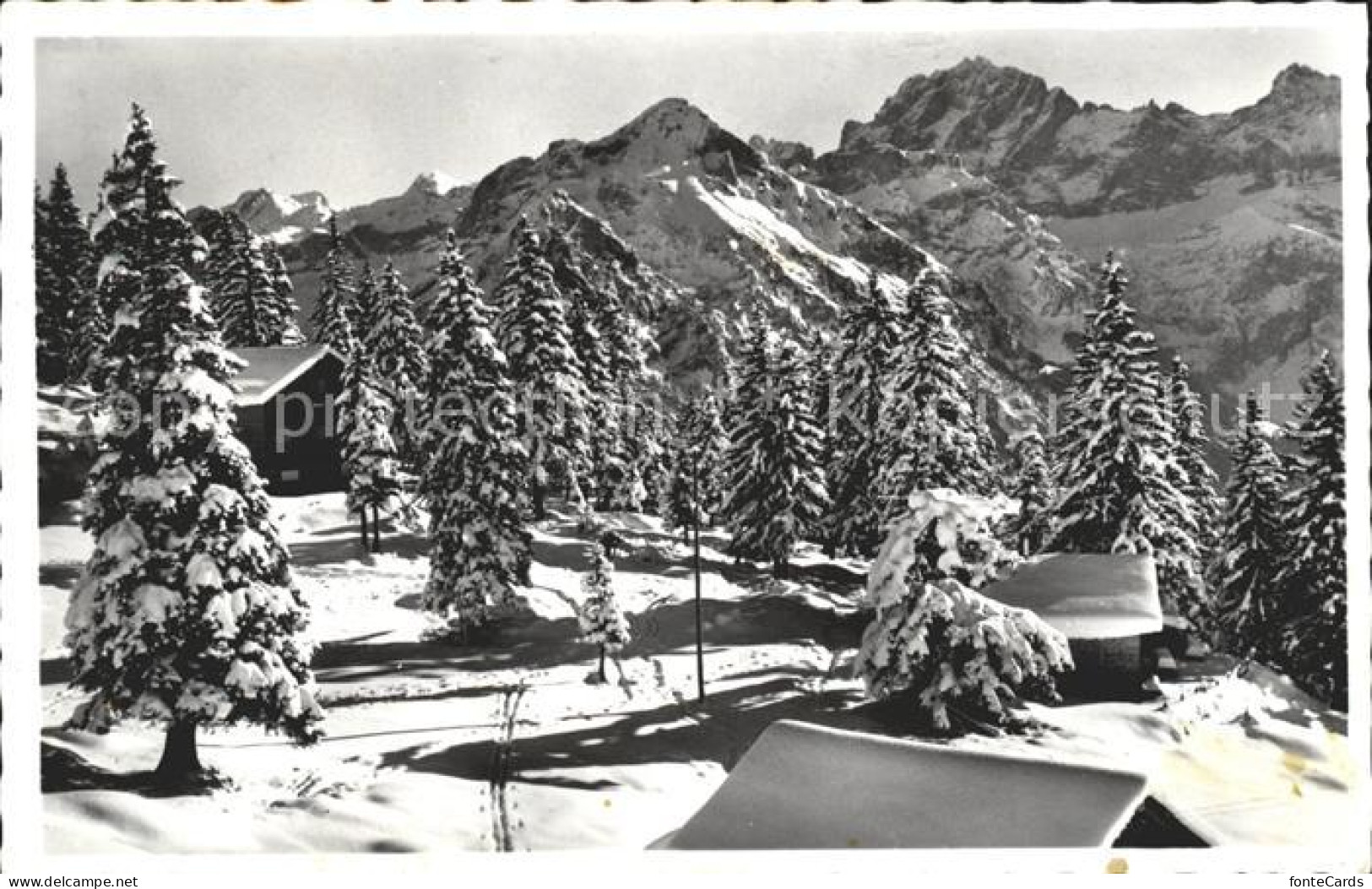 Attinghausen Ferienchalets auf Brusti