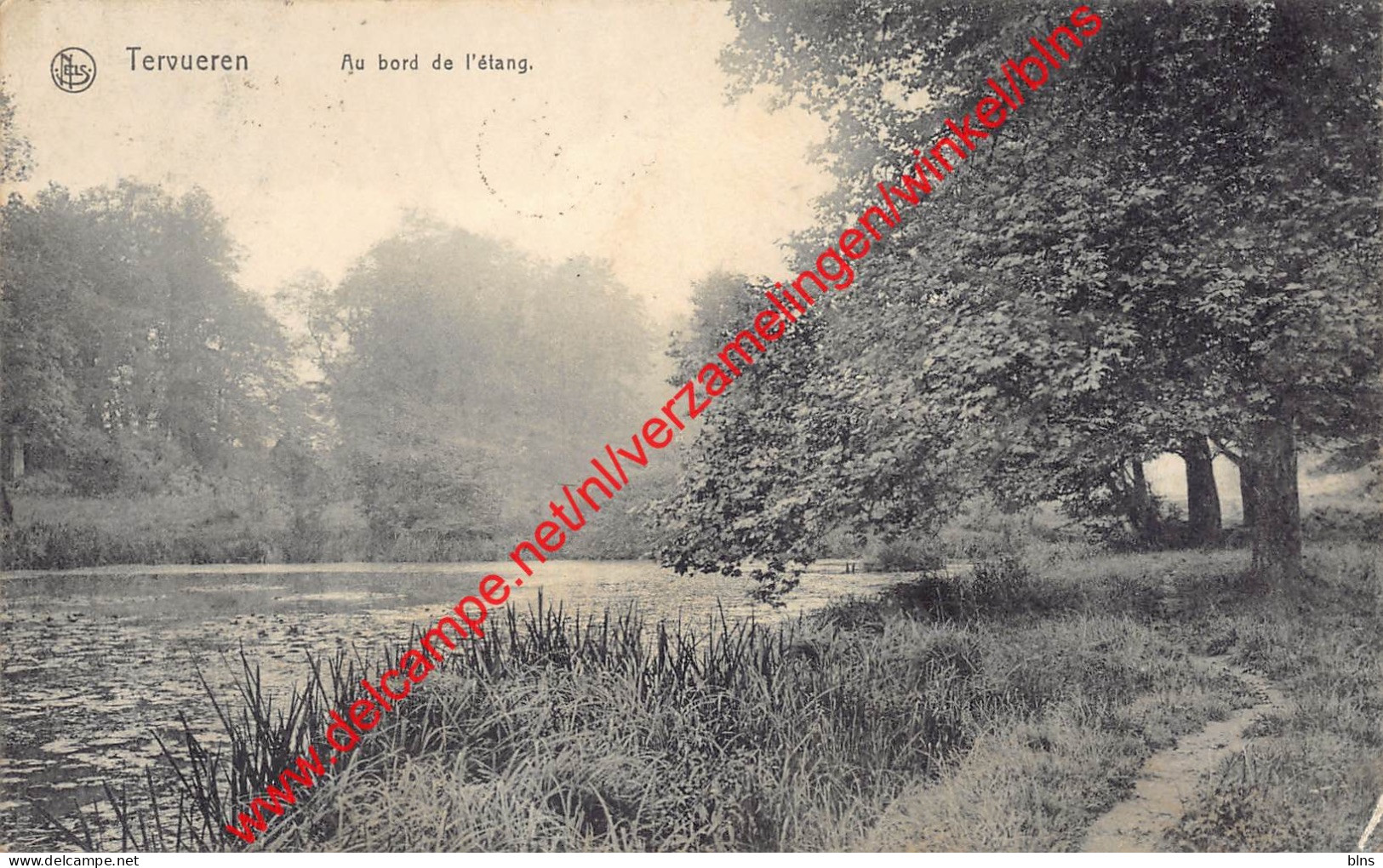 Au bord de l'étang - Tervuren Tervueren