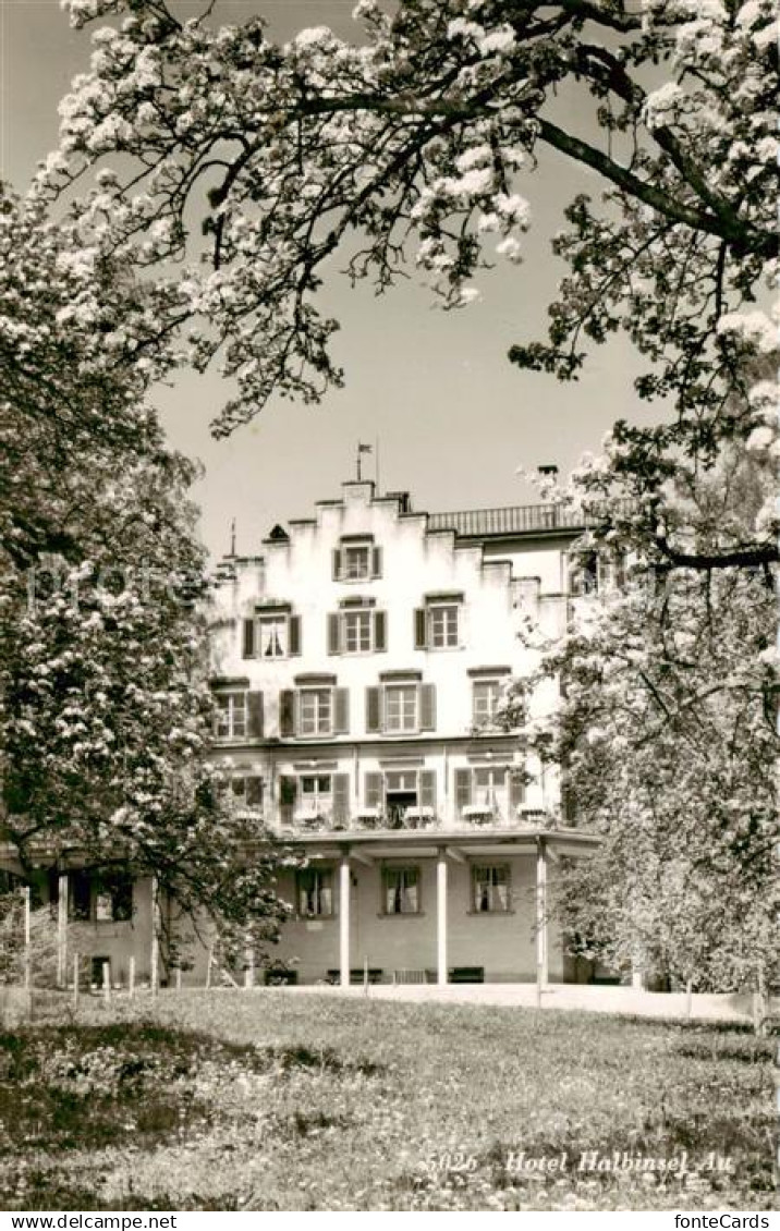 Au ZH Gasthaus Hotel Halbinsel Au am Zuerichsee Baumbluete