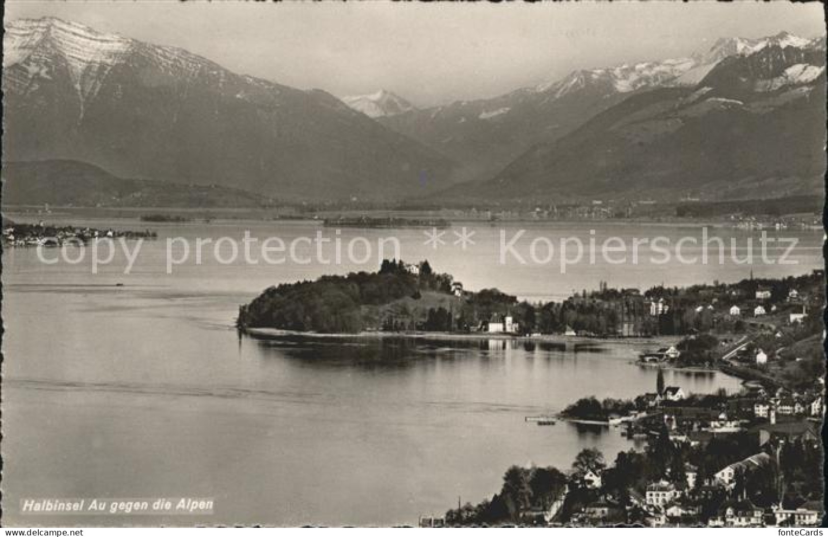 Au ZH Halbinsel Au mit Alpenpanorama