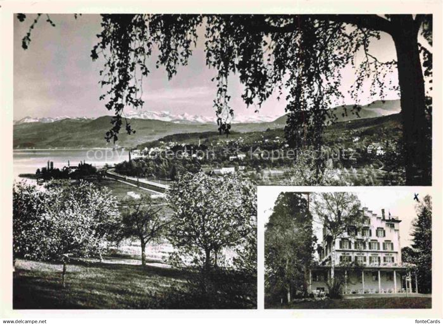 Au ZH Hotel Halbinsel Au am Zuerichsee