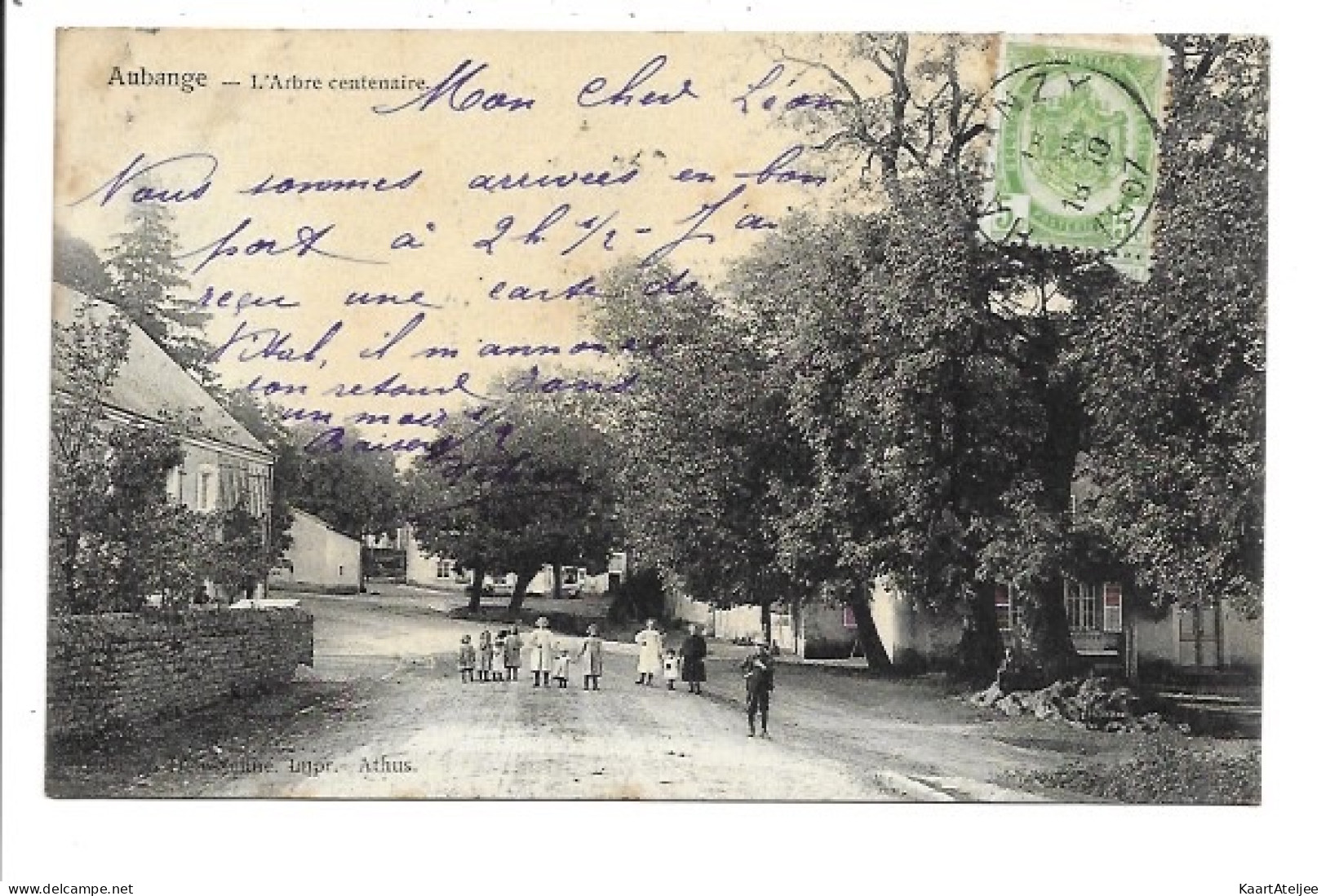Aubange - L'Arbre centenaire.