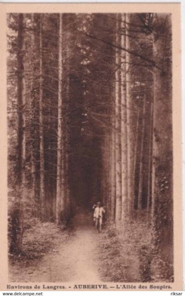 AUBERIVE(ARBRE)