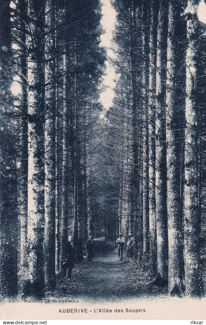 AUBERIVE(ARBRE)