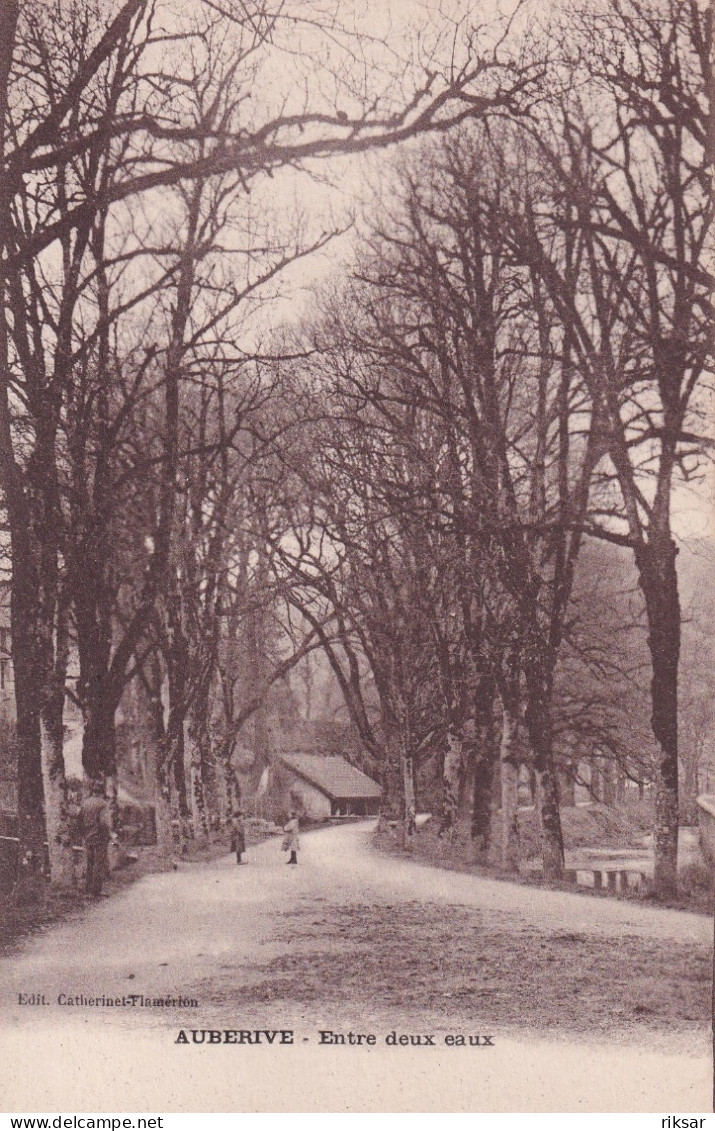 AUBERIVE(ARBRE)