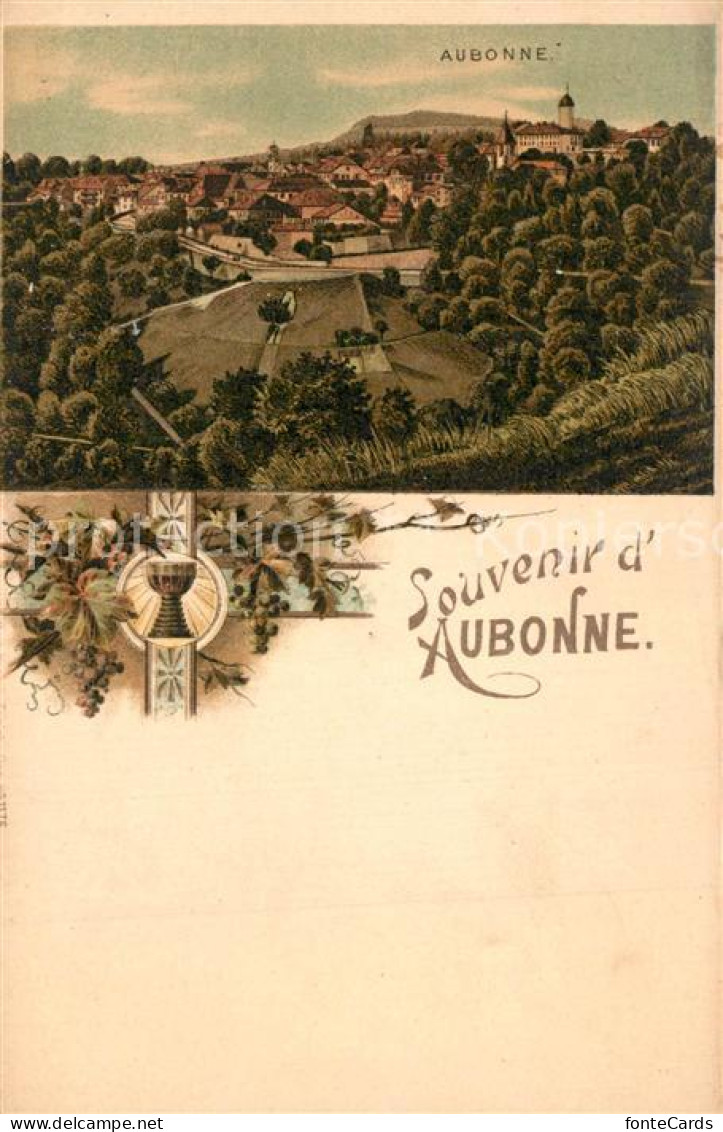 Aubonne VD Panorama