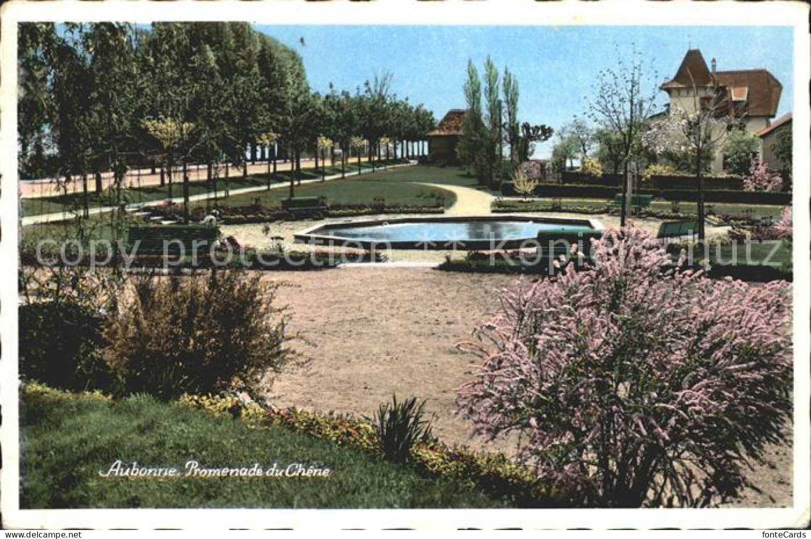 Aubonne VD Promenade du Chene