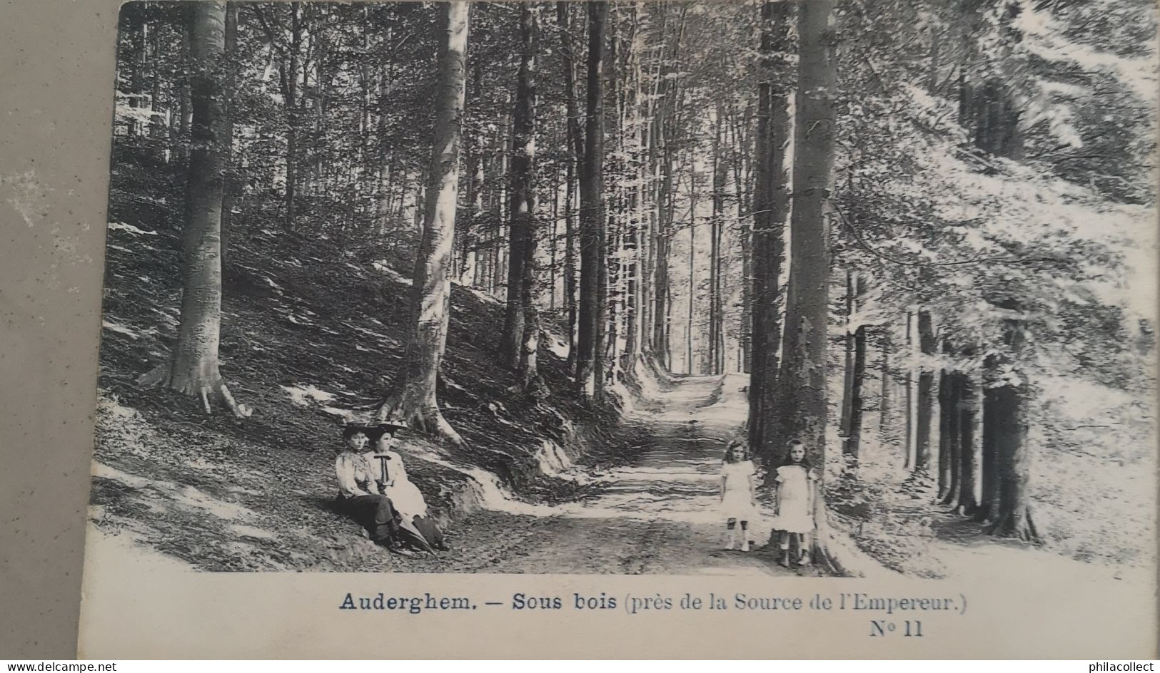 Auderghem - Oudergem // Sous Bois (Pres de la Source de l' Empereur (animee) ca 1900