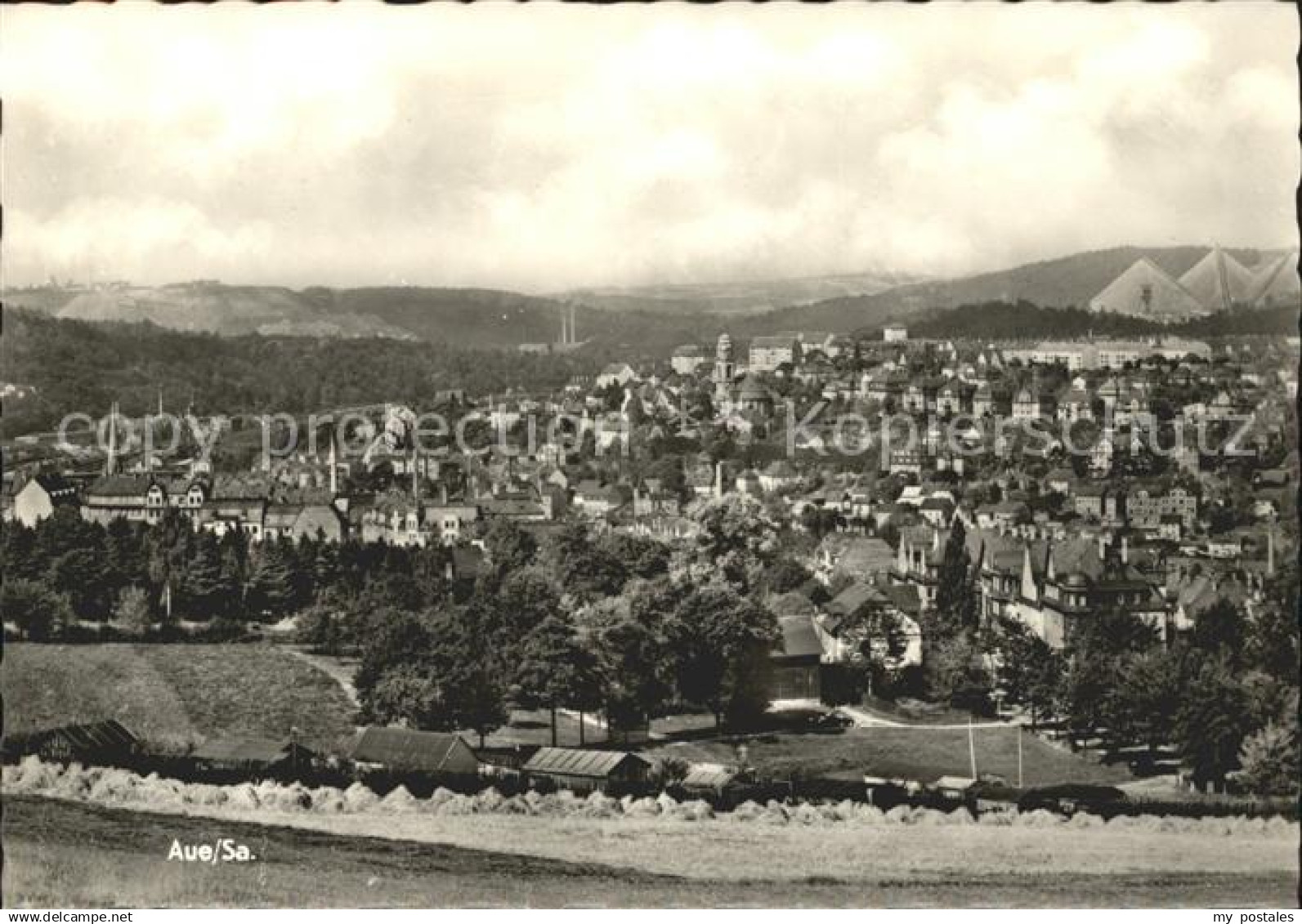 Aue Sachsen