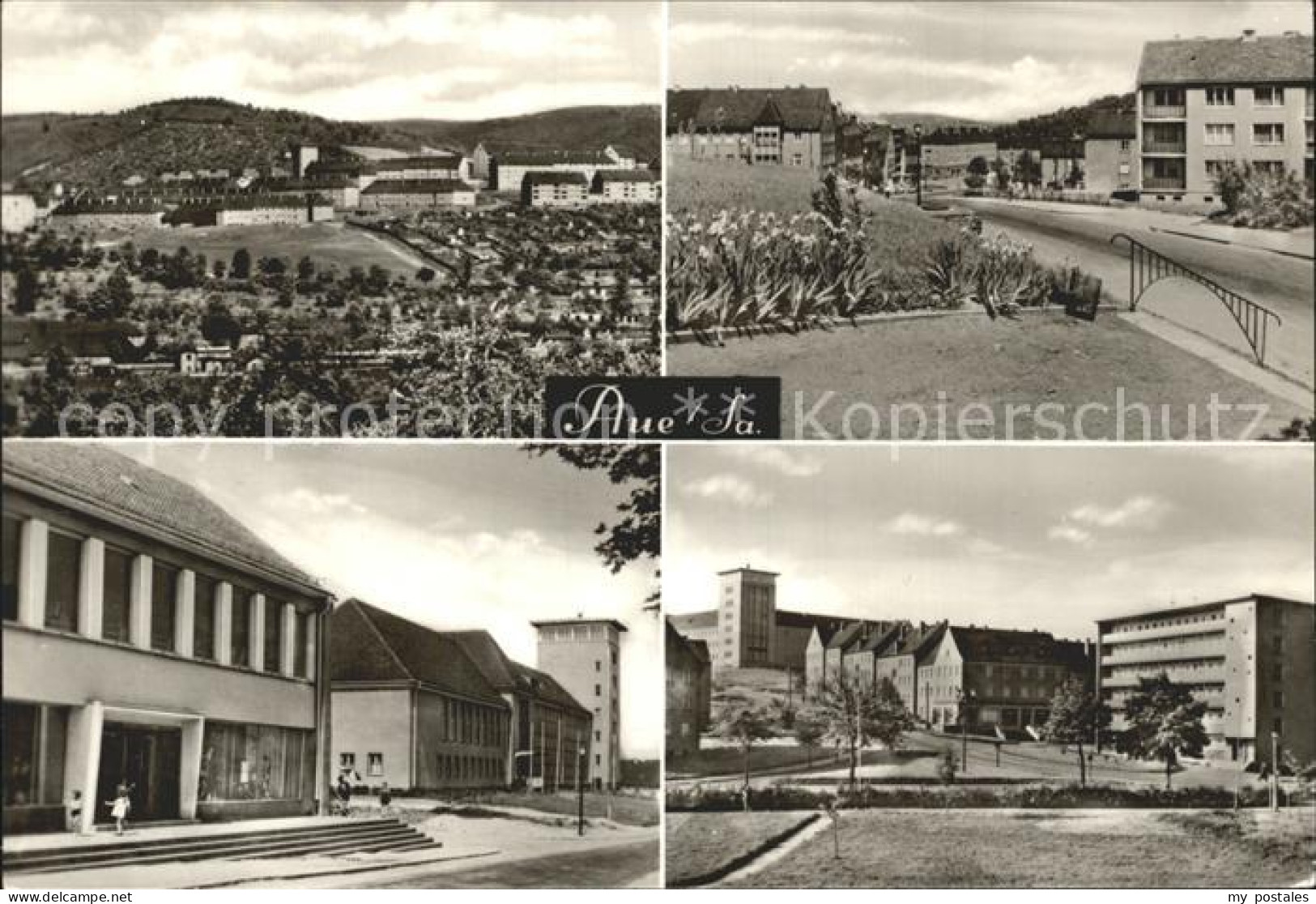 Aue Sachsen