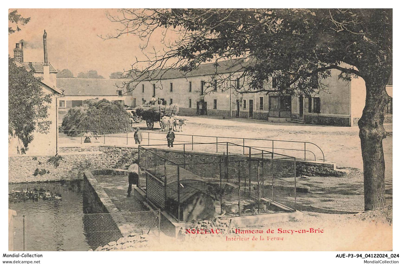 AUEP3-0177-94 - NOISEAU - hameau de sucy-en-brie