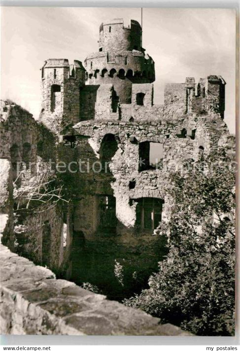 Auerbach Bergstrasse Schloss Auerbach