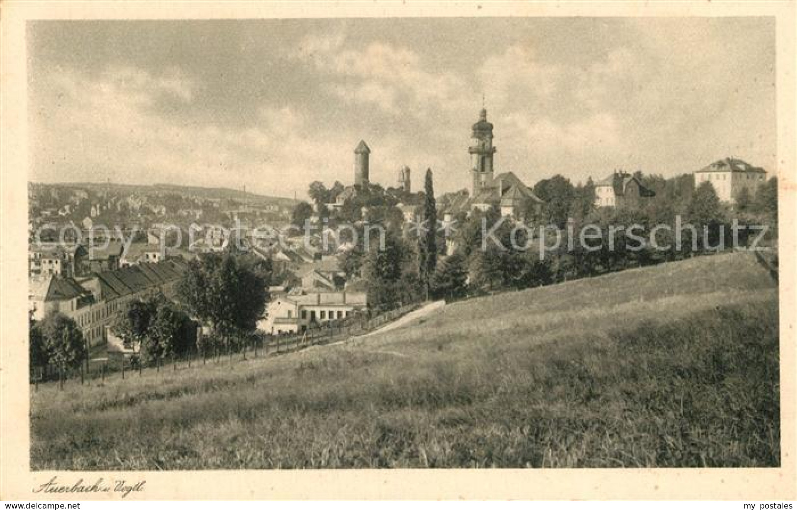 Auerbach Vogtland Panorama